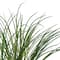 Assorted Short Grass Bush by Ashland®, 1pc.